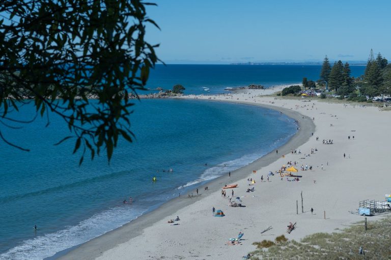 Bay of Plenty